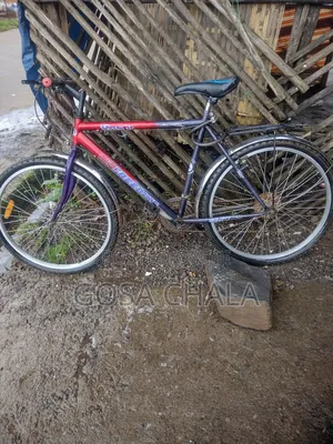 Photo - Bicycle Sale