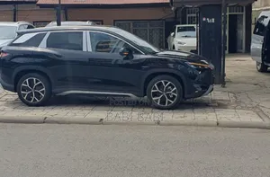 New BYD Song L DM-i 2025 Matt Black