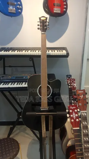 Photo - Music Instruments