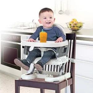 Mastela Booster to Toddler Seat