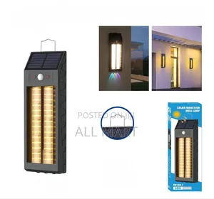 Solar Induction Wall Lamp