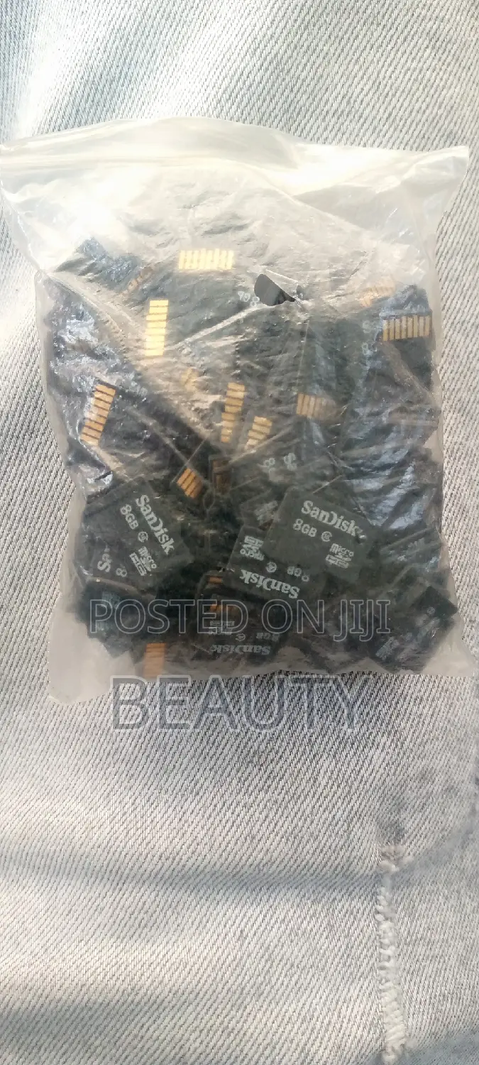 Memory Sandisk