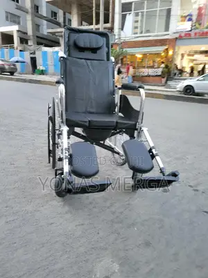 Toilet Folding Wheelchair各都rehabilitation and the Care of the Elderly.