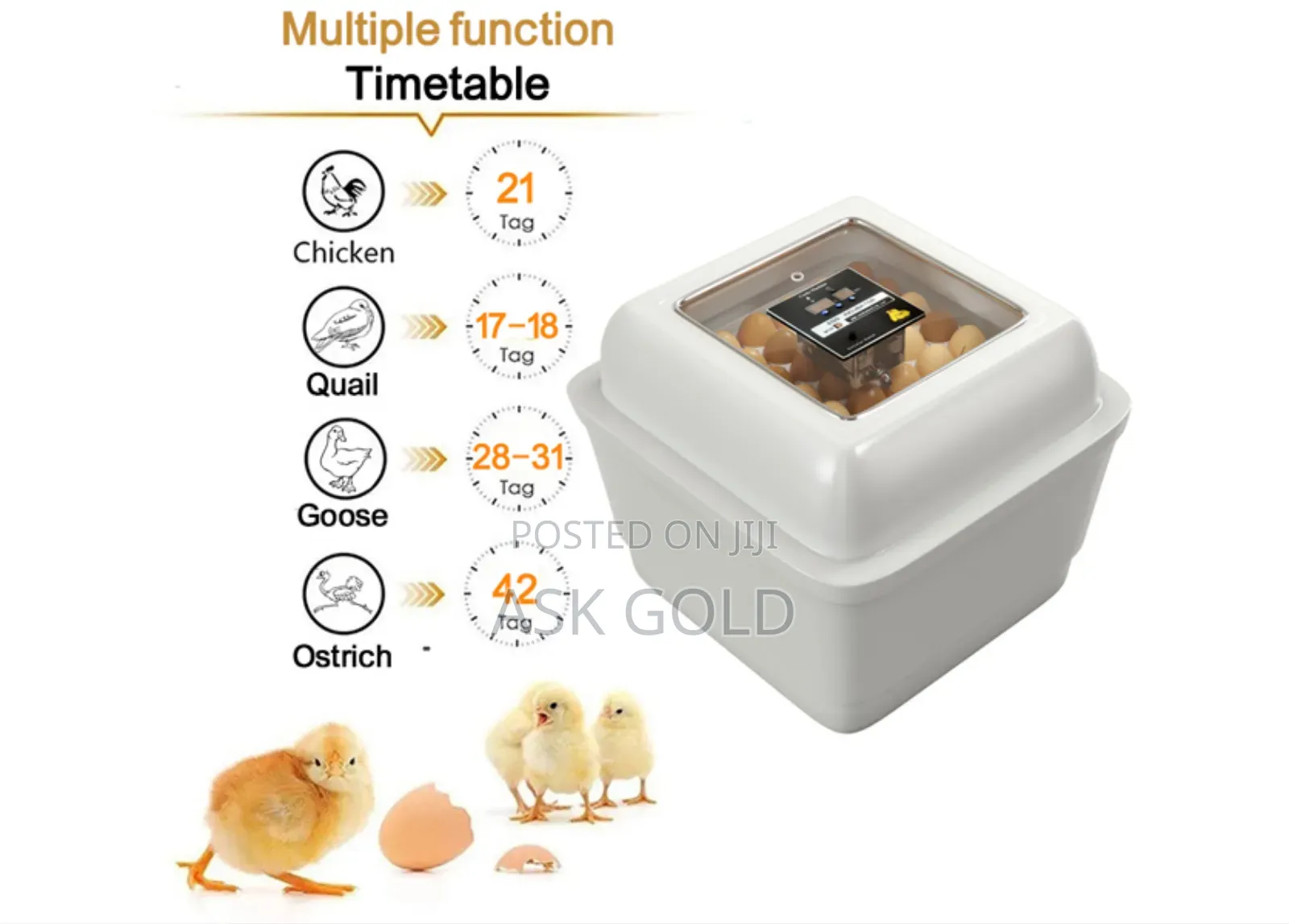 Incubator For Sell
