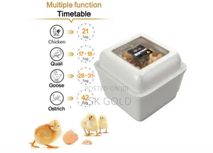 Incubator For Sell