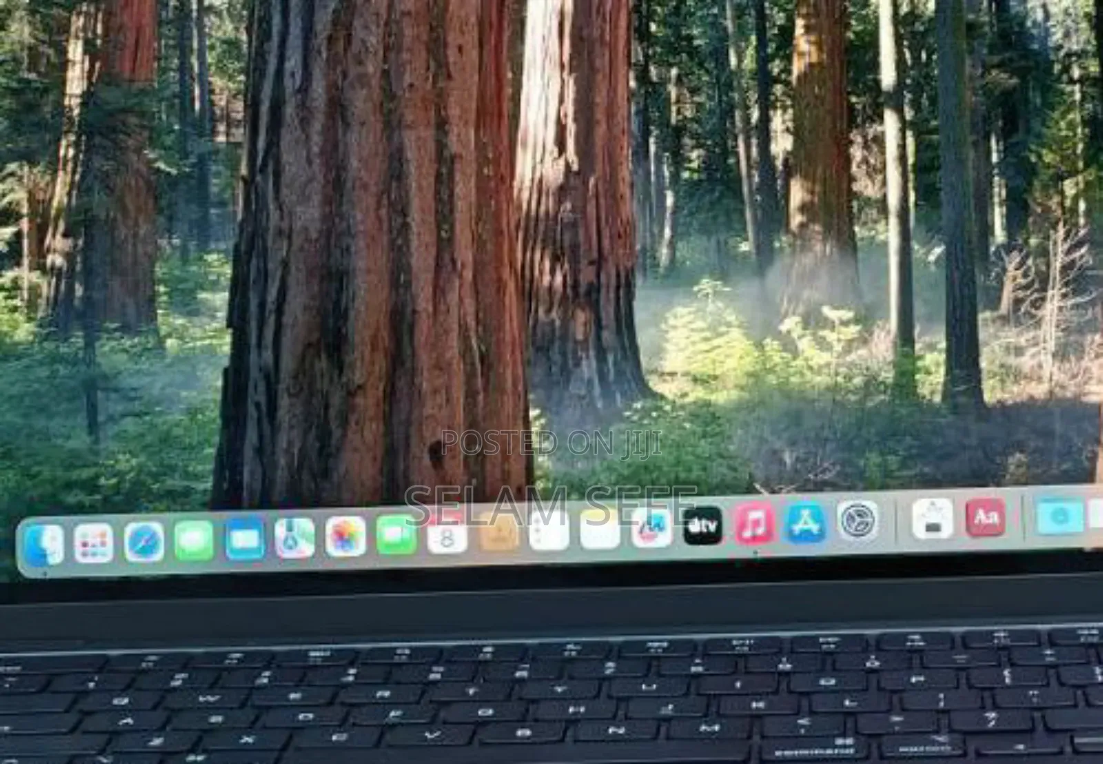 New Laptop Apple MacBook Air 16GB Apple M3 SSD 256GB