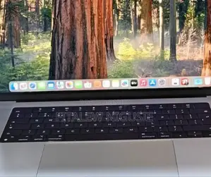 New Laptop Apple MacBook Pro 16GB Apple M4 SSD 1T