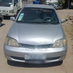 Toyota Platz 1.0 FWD 2001 Gray