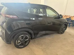 New BYD Seagull 2024 Black