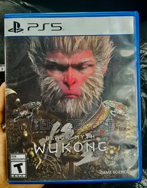 Photo - Black Myth Wu Kong