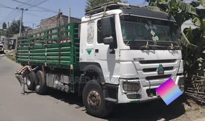 Photo - Sino Casoni 2020