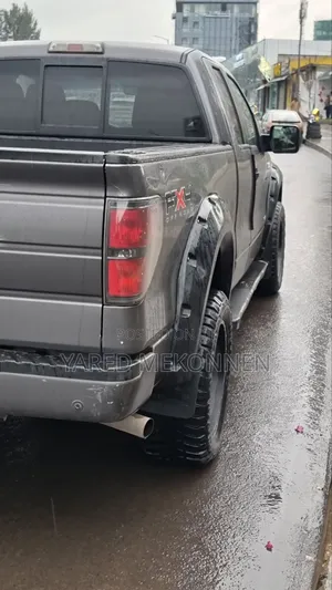 Ford F-150 2017 Gray