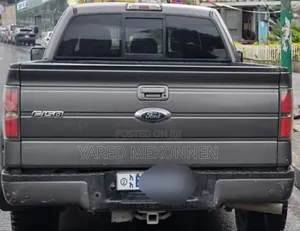 Ford F-150 2017 Gray