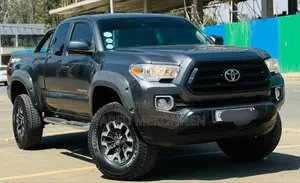 Toyota Tacoma 2021 Gray