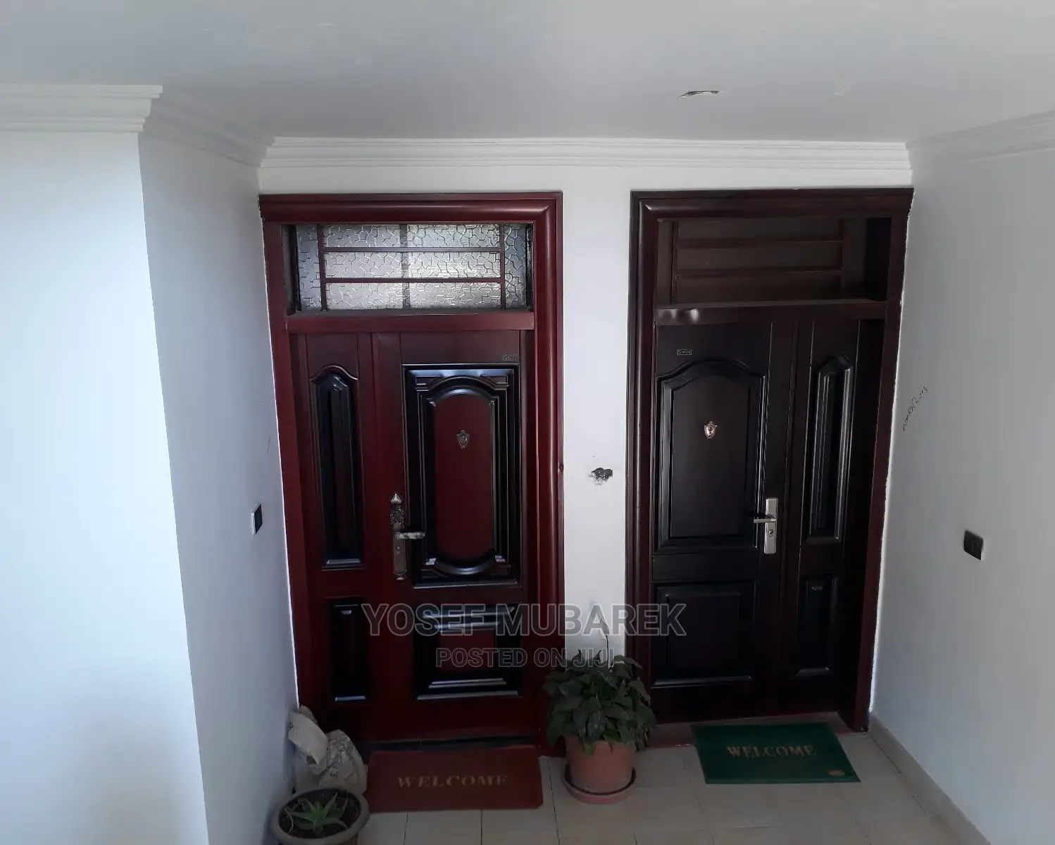 Luxury Imported Door