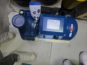 Aquastrong Surface Water Pump