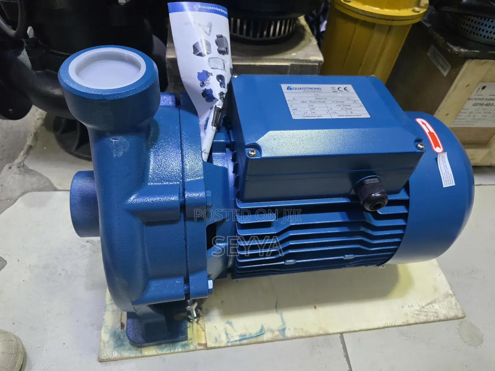 Aquastrong Surface Water Pump