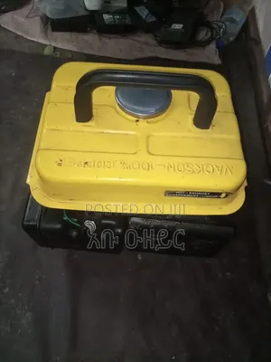 Photo - 1 Kw Tiger Generator