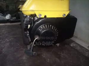 1 Kw Tiger Generator