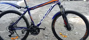 Photo - Pheonix Bicycle