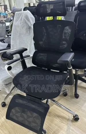 Modern Ergonomic Chair