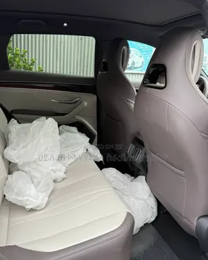 New BYD Song Plus DM-i 2025 Gold