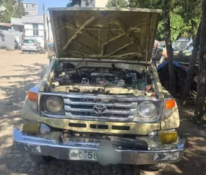 Toyota Land Cruiser 2006 Beige