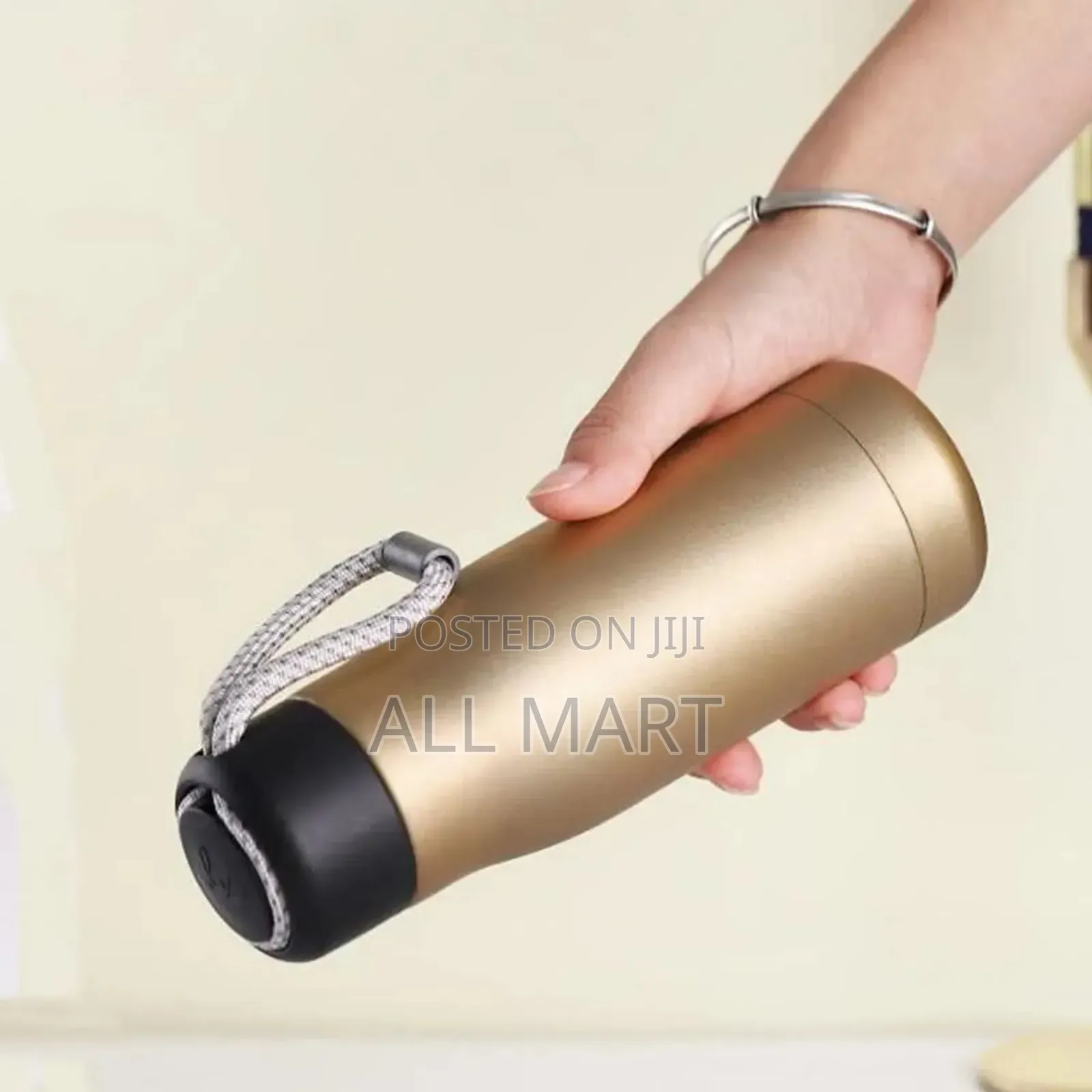Stainless Steel Vacuum-Insulated Water Bottle
