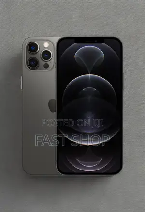 Apple iPhone 12 Pro Max 256 GB Gray