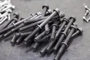 Photo - Orginal Bolt (ብሎን)