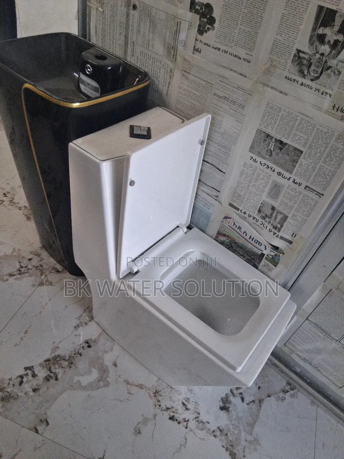Gold Dragon Toilet