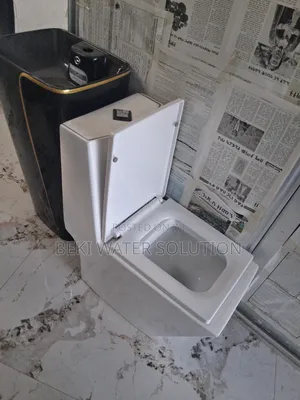 Photo - Gold Dragon Toilet