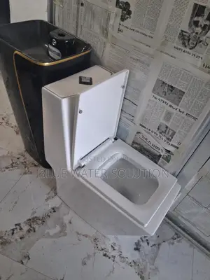 Gold Dragon Toilet