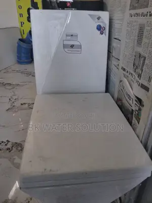 Gold Dragon Toilet