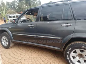 Suzuki XL-7 2002 Gray