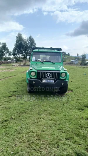 Photo - Mercedes-Benz G-Class 1995 Green