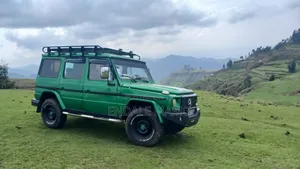 Mercedes-Benz G-Class 1995 Green
