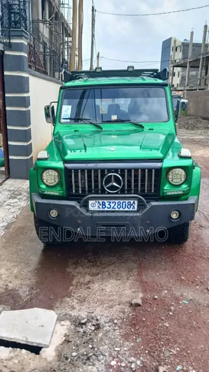 Mercedes-Benz G-Class 1995 Green
