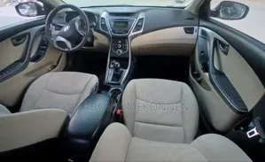 Hyundai Elantra 2014 Brown