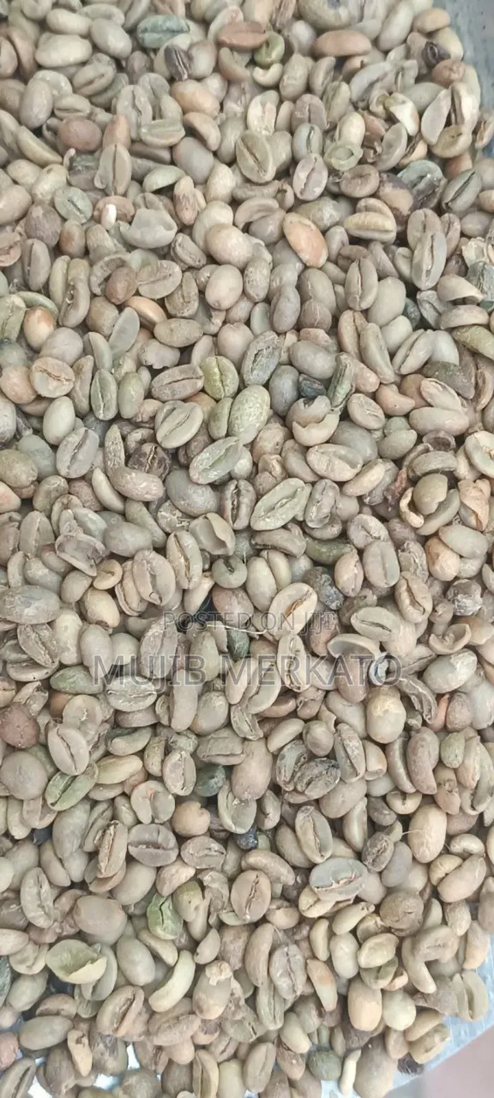 Ethiopian Coffe ቡና