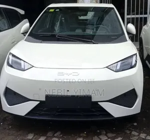 Photo - New BYD Seagull 2025 Off white