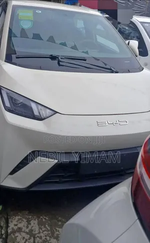 New BYD Seagull 2025 Off white