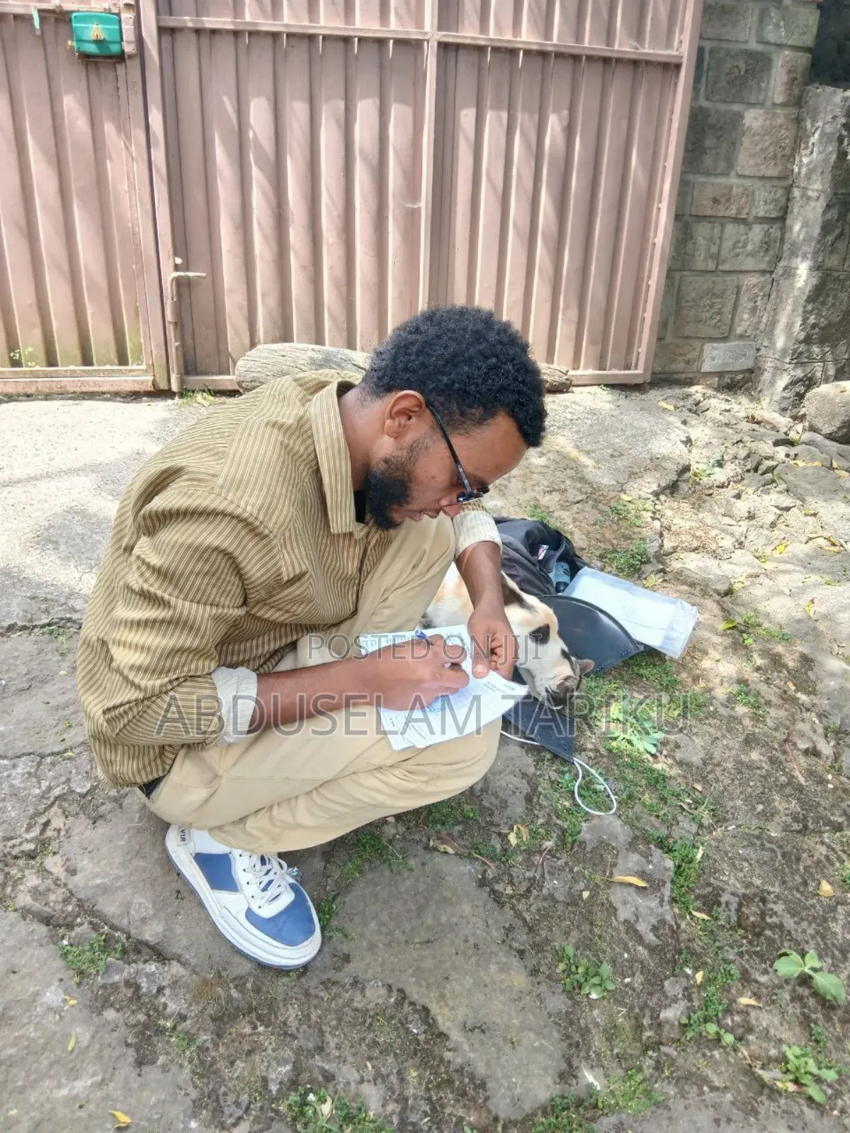 Doctor Of Veterinary Medicine