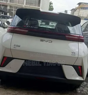 New BYD Seagull 2025 Off white