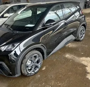 New BYD Seagull 2025 Black