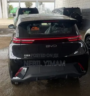 New BYD Seagull 2025 Black