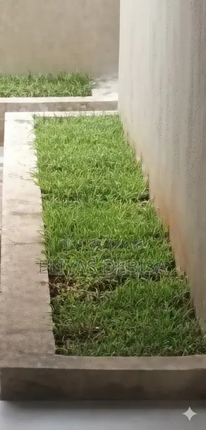 5bdrm Villa in Shaggar City,, Oromia-Finfinne for sale