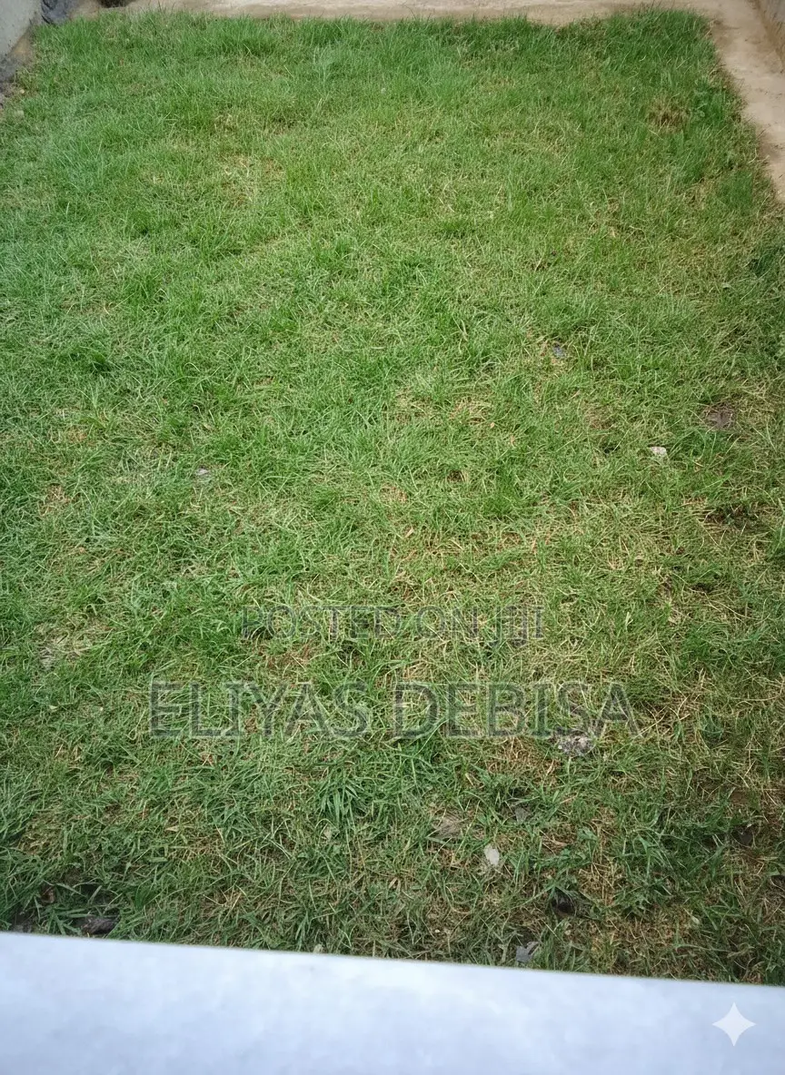 5bdrm Villa in Shaggar City,, Oromia-Finfinne for sale