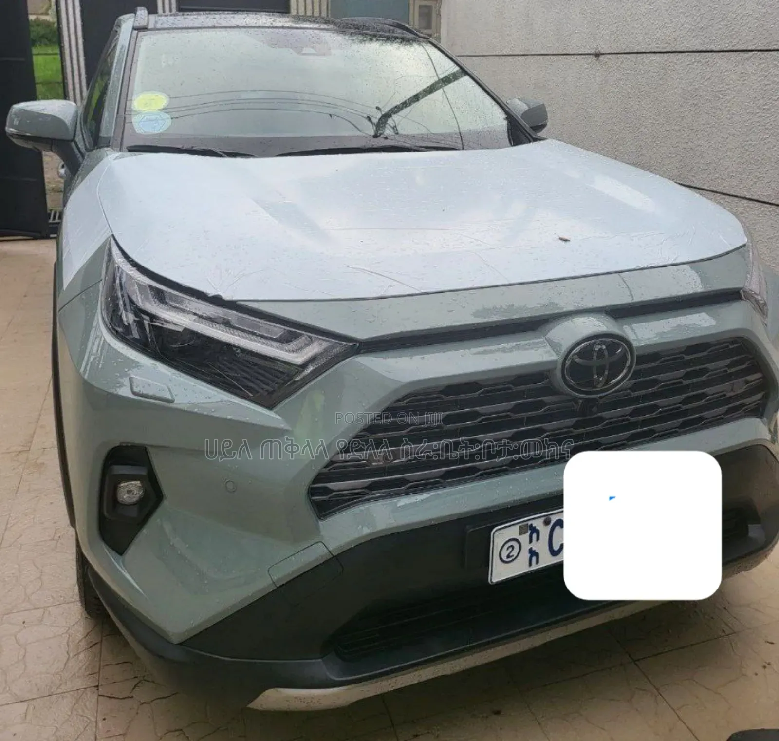 Toyota RAV4 2022 Green