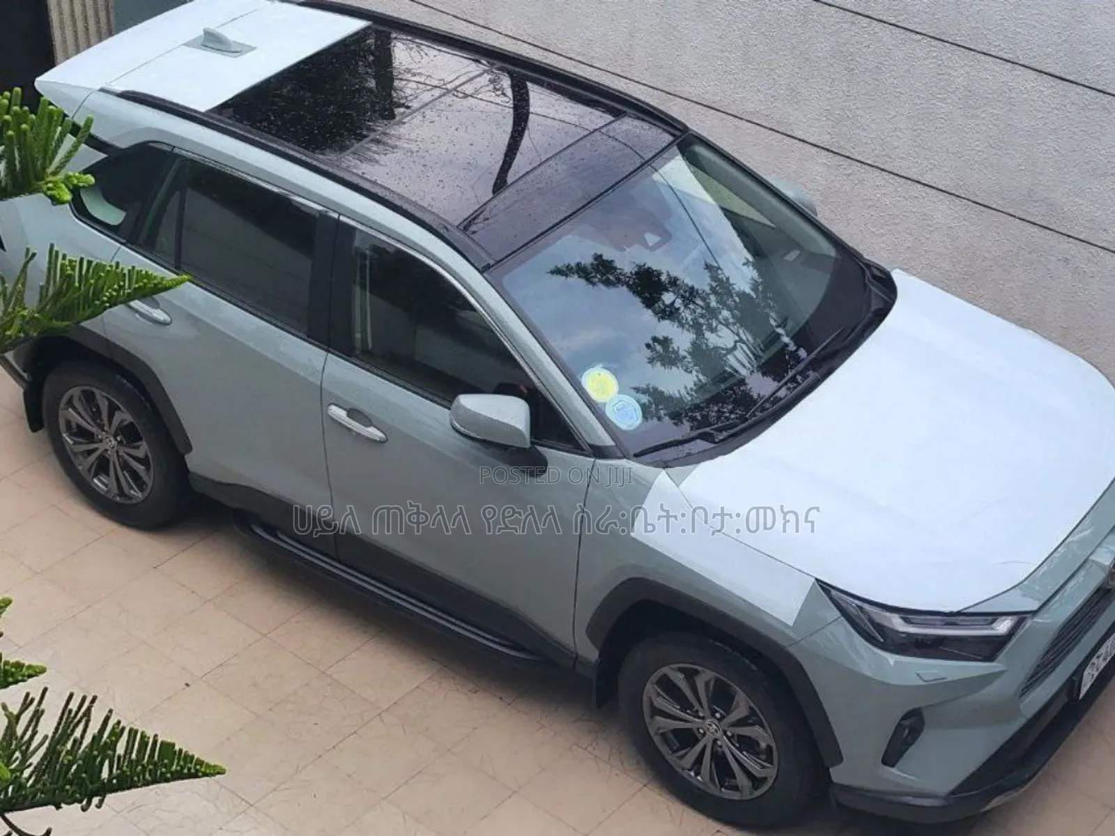 Toyota RAV4 2022 Green